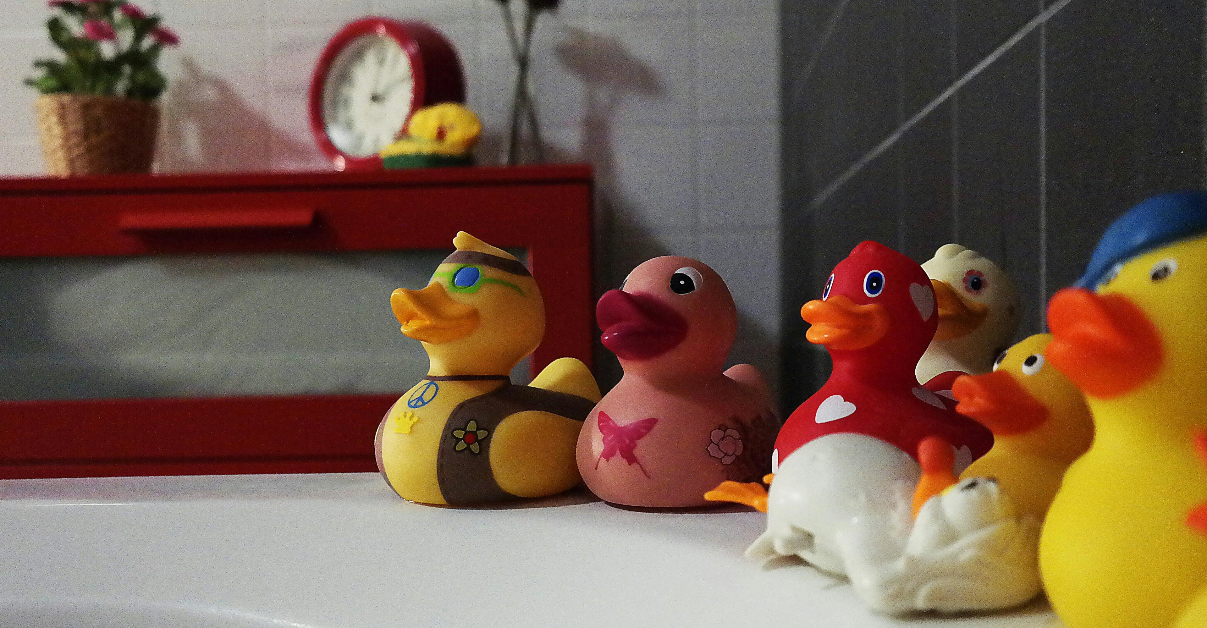 Bath Toys