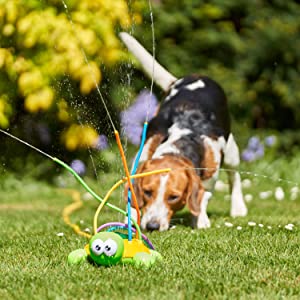 Aqua turtle garden sprinkler for children and pets