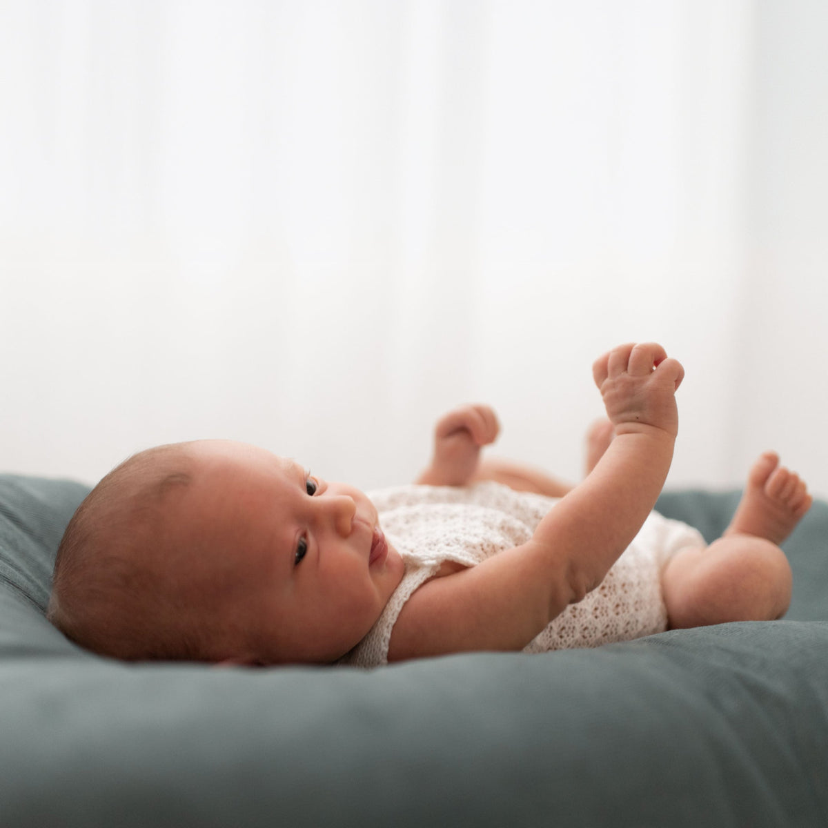 Padded Baby Nest with Removable Cover