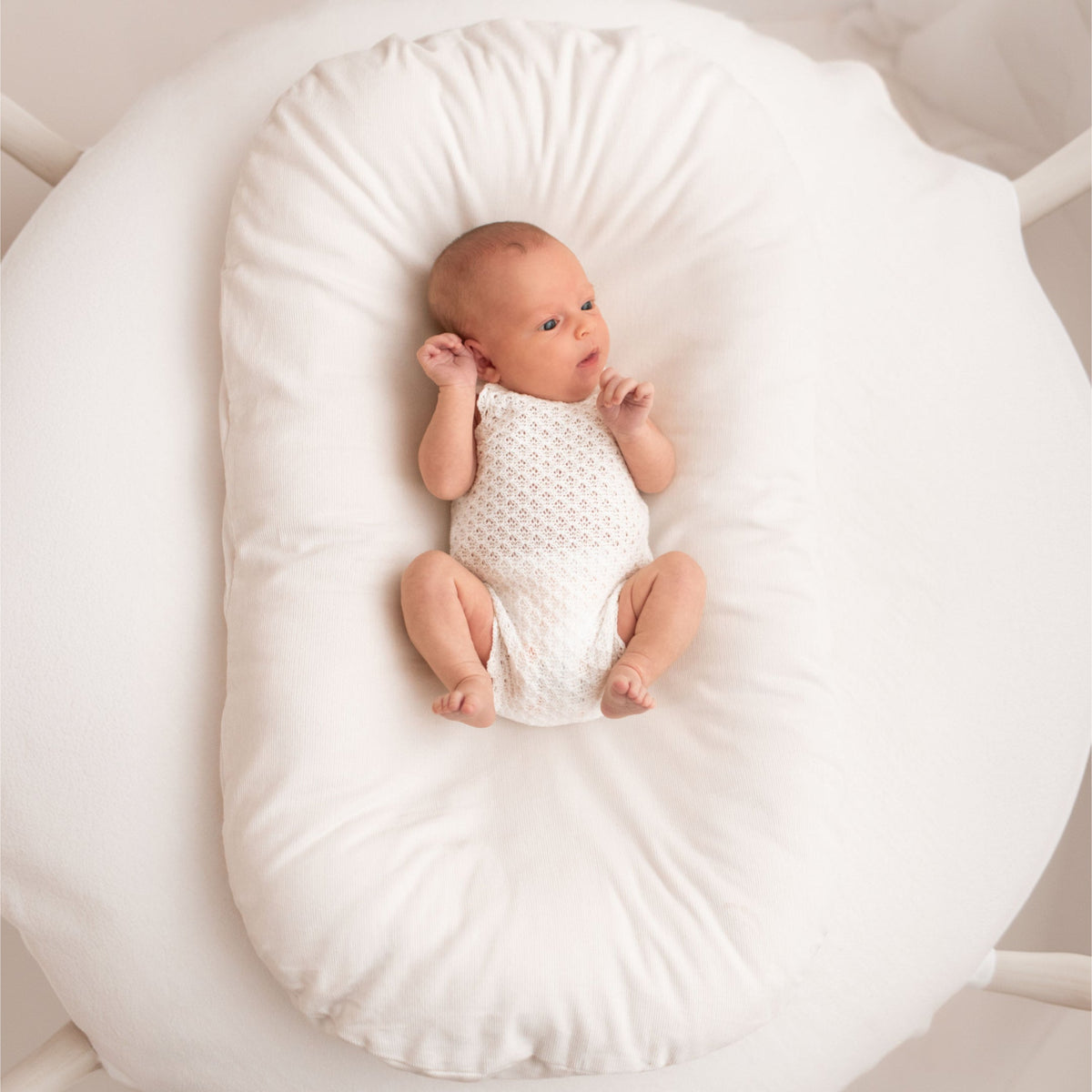 Padded Baby Nest with Removable Cover