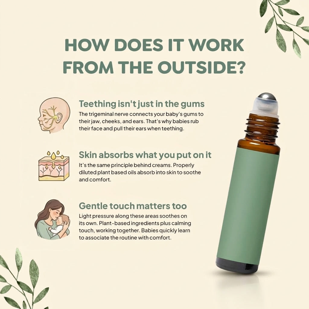 Natural Teething Comfort Roller - photo 5