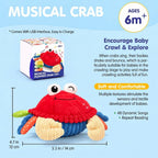 Musical Crawling Crab Toy
