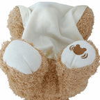 Peekaboo Teddy Bear Plush Toy