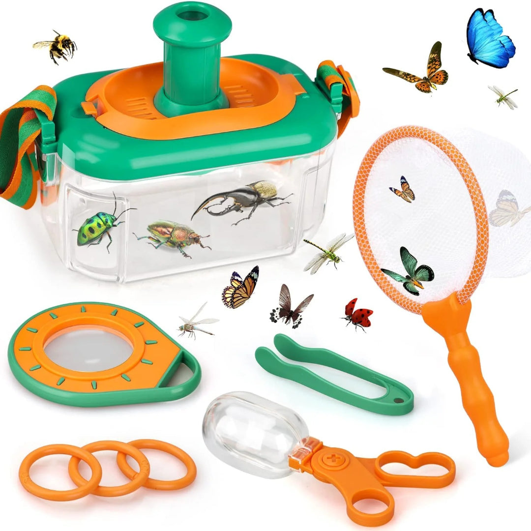 Insect observation set for children nature and learning
