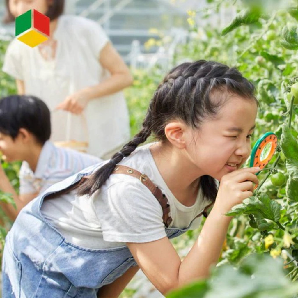 Insect observation set for children nature and learning