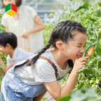 Insect observation set for children nature and learning