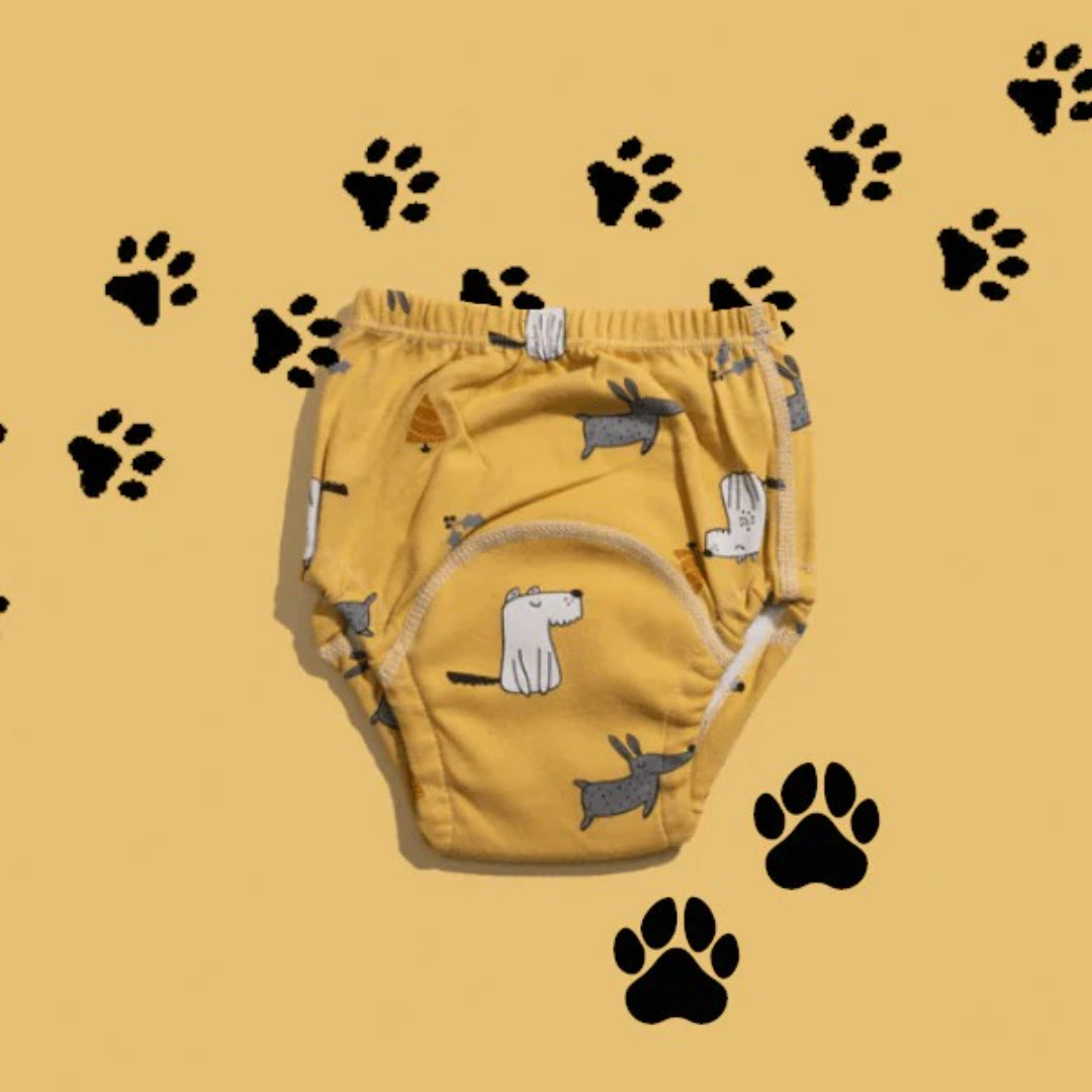 Reusable training pants for potty training