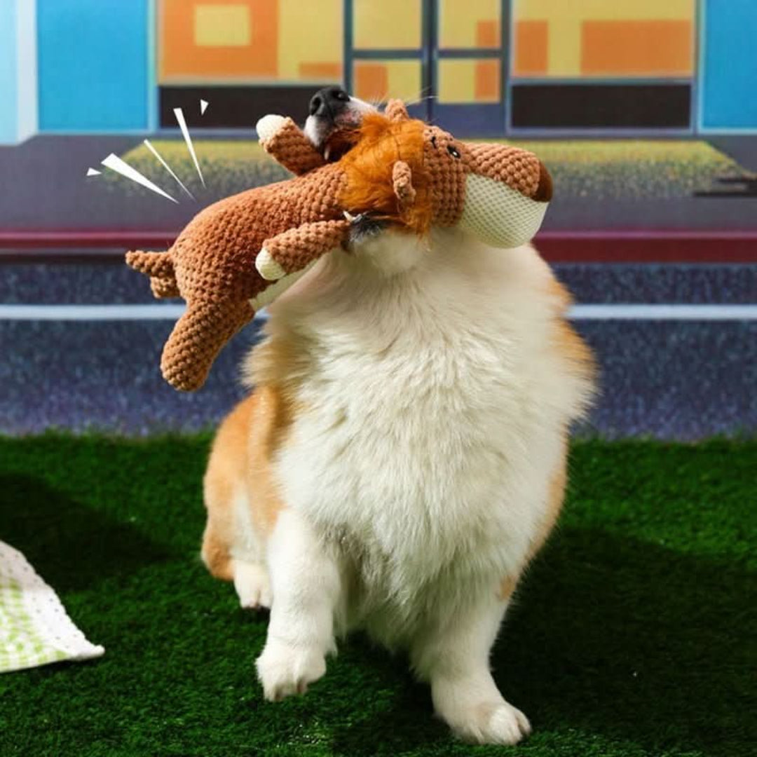 Holdbart tyggelegetøj til hunde i alle størrelser